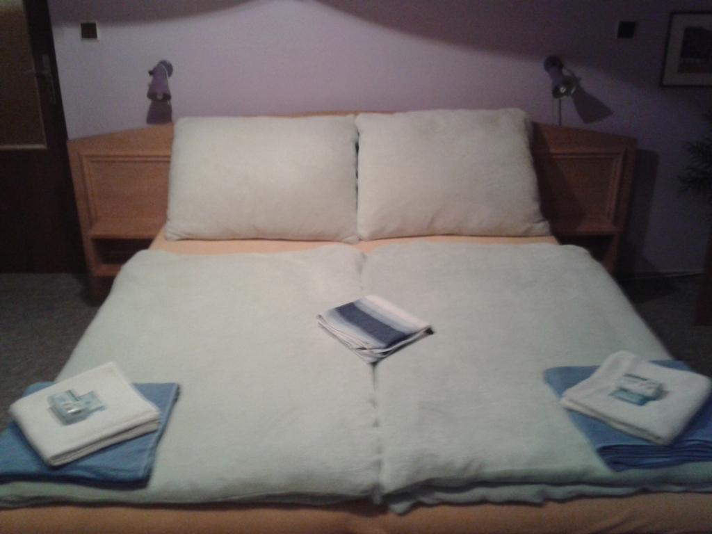 Hotel Hela Pec pod Snezkou Luaran gambar